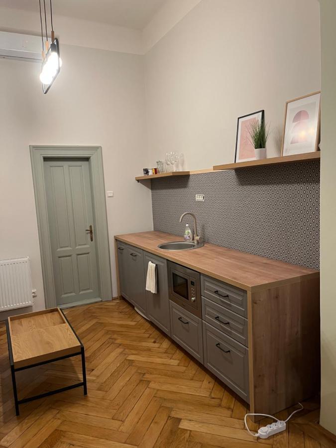 Barty Downtown Apart 1 Timisoara Luaran gambar
